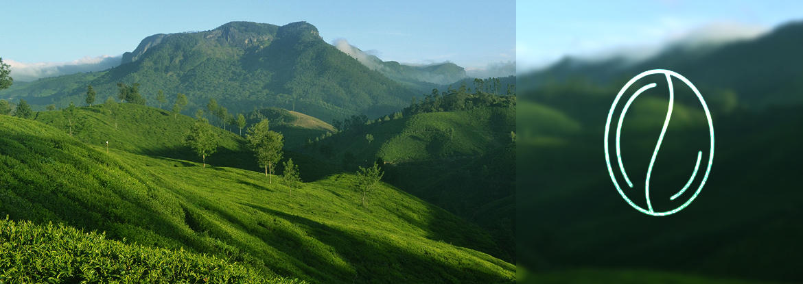 Landschaft Indien