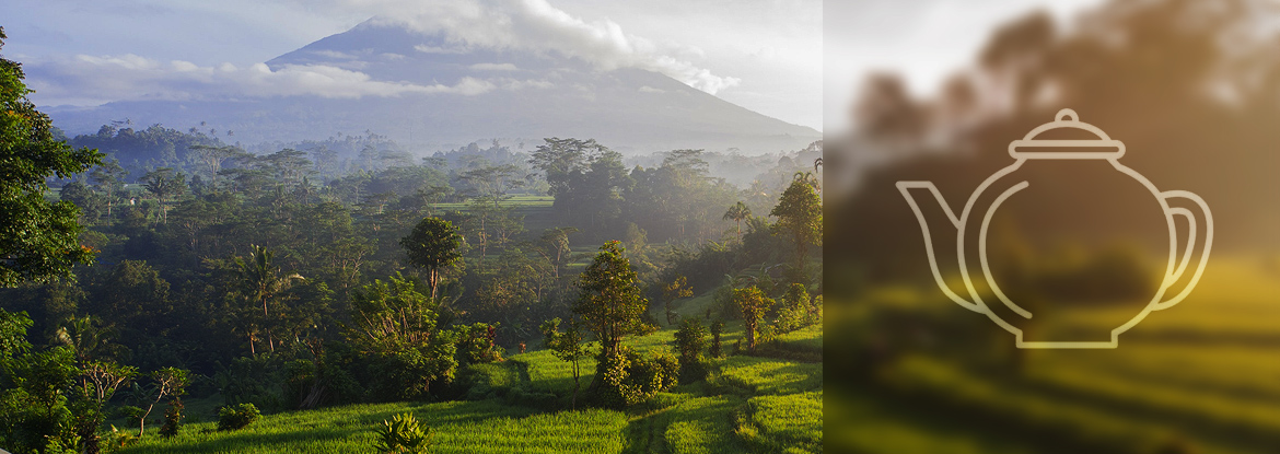 Landschaft Indonesien