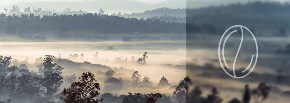 Landschaft Kamerun