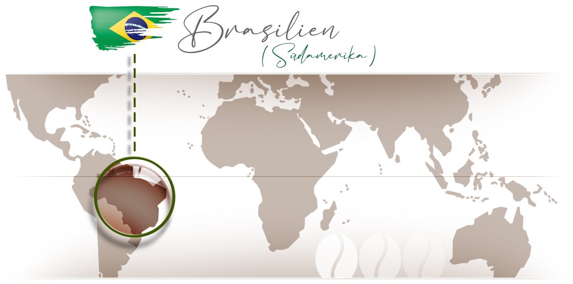 cupista_kopfbild_brasilien.jpg