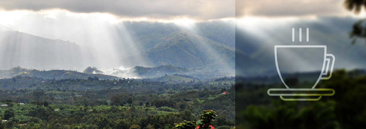 Landschaft Uganda