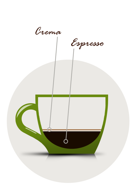 Cupista Brühguide Espresso